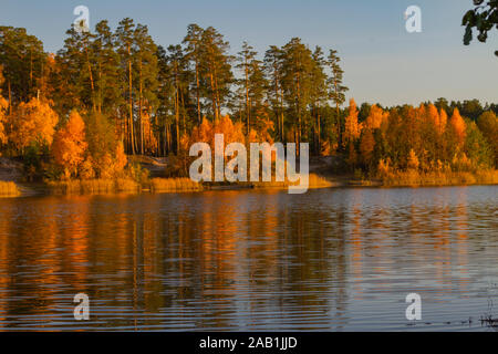 Beautiful view of yellow green forest on the lake shore with reflection in the water. Golden autumn