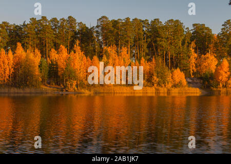 beautiful landscape of autumn forest on the lake shore in the rays of sunset with reflection. Golden time of year. Stock Photo
