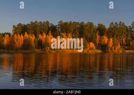 picturesque scene of fall forest on the lake shore in the rays of sunset. Orange yellow bright paints autumn
