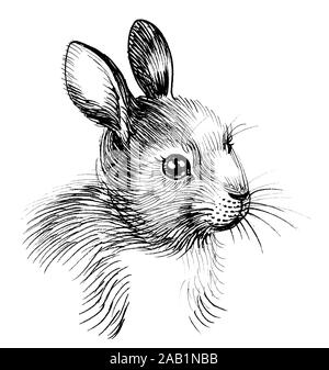 Cute baby rabbit. Ink black and white drawing Stock Photo