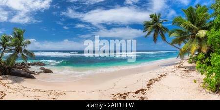 Tropical beach with palm trees and turquoise sea, panorama Stock Photo