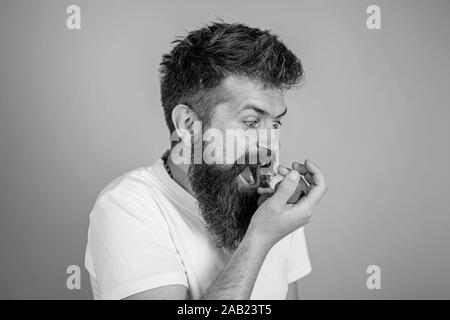 Do not touch my berry. Hipster bearded holds strawberries on palm. Man shouting hungry greedy face with beard eats strawberries. Man greedy hungry not going to share strawberries blue background. Stock Photo