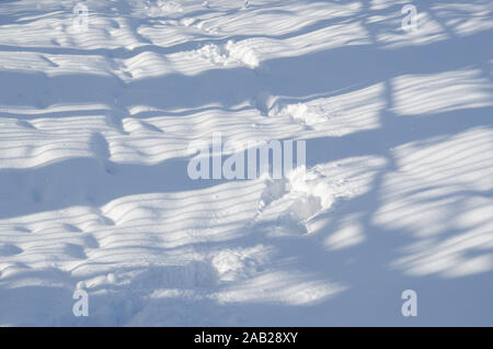 Traces and shadows on the snowdrift. Abstract winter landscape. Stock Photo
