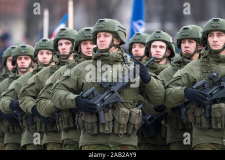 November 23, 2019 Lithuanian Armed Forces Day, parade in Vilnius Stock Photo