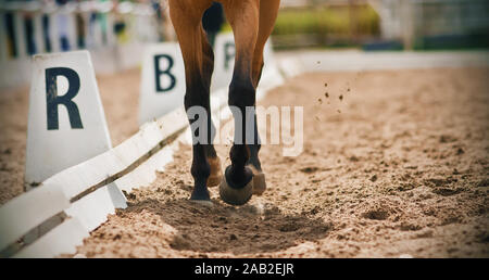 The graceful legs of an unshod horse trotting across a sandy arena lit by bright sunlight at a dressage competition. Stock Photo