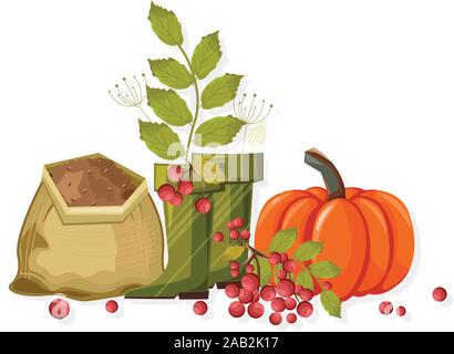 Set of autumn vegetables and gardening tools. Pumpkin, red berries, soil, green rubber boots for gardening. Agricultural vector Stock Vector