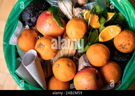 Food waste problem concept. Spoiled food in refuse bin. Rotten oranges and apples close up. Ecological issues. Stock Photo