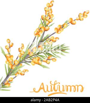 Autumn yellow berries branch with green leaves. Seasonal vector Stock Vector