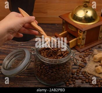 The girl's hand takes a wooden spoon of coffee beans from a glass jar, a coffee grinder, pieces of brown sugar on a wooden background. Close up Stock Photo