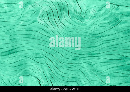 Wood grain wavy texture planks panels with a neo mint green colored effect. Natural background. Hardwood material in a trendy soft pastel color, new m Stock Photo