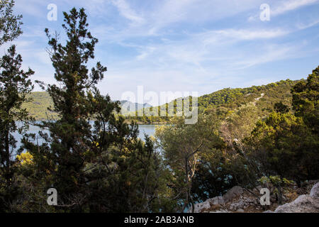 National Park on the island Mljet, Croatia. Mediterranean coast with greenery, pinetrees in the beautiful nature creating a serene calm scene, Small l Stock Photo