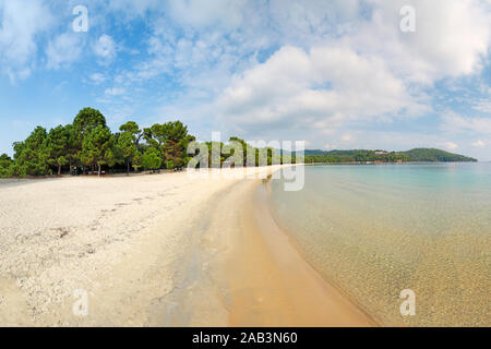 The beach Koukounaries of Skiathos island, Greece Stock Photo