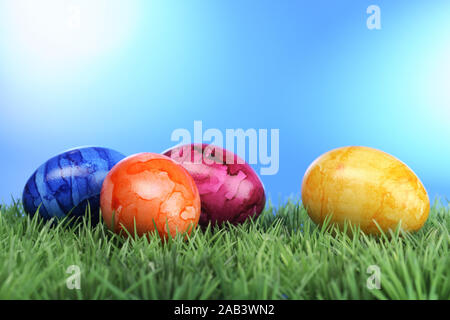 Farbige Ostereier auf Rasen |Colored Easter eggs on grass| Stock Photo
