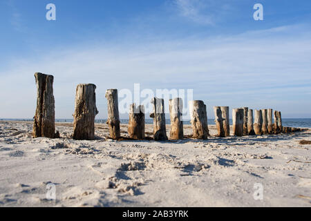 Alte Holzbuhnen an einem Strandabschnitt an der Ostsee |Old wooden groynes on a beach on the Baltic Sea| Stock Photo