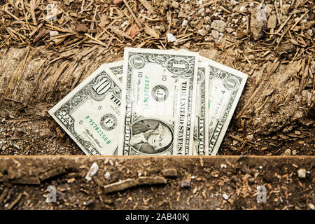 Dollarnoten schauen unter einem aufgerissenen Fußboden hervor |Dollar bills look from beneath a wide-open floor| Stock Photo