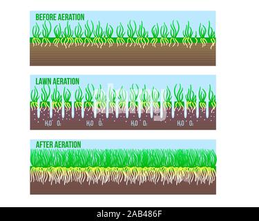 Lawn aeration stage illustration. Before and after aeration ...