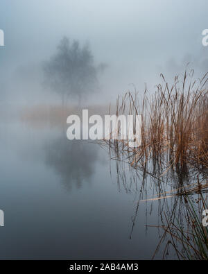 Beautiful foggy morning. Misty lake with small island and tree with water reflection. Foggy autumn day.