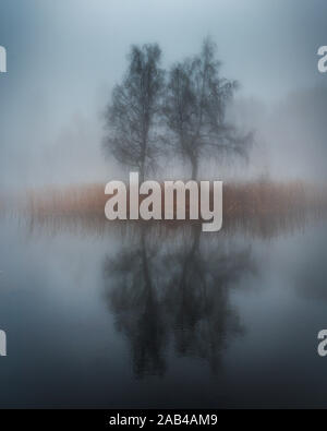 Beautiful foggy morning. Misty lake with small island and tree with water reflection. Foggy autumn day. Stock Photo