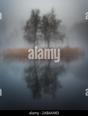 Moody lake in the fog. Lonely Island with trees in mist. Stock Photo