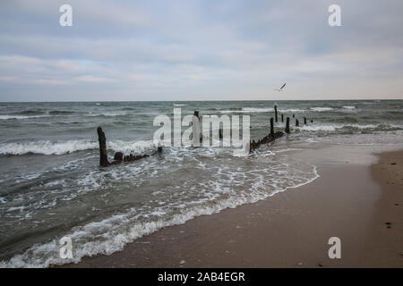 Mechelinki, Poland 23rd, Nov. 2019 Fishermen and environmentalists alert that due to the discharge of brine into the sea, fish get sick and die. Every third fish in the Bay is sick, has eye tissue atrophy,  and wounds on the body.  General view of the Puck Bay near the pipeline dumping brine into the Baltic Sea from cavern rinsing for the state-owned gas company PGNiG is seen.   © Vadim Pacajev / Alamy Live News Stock Photo