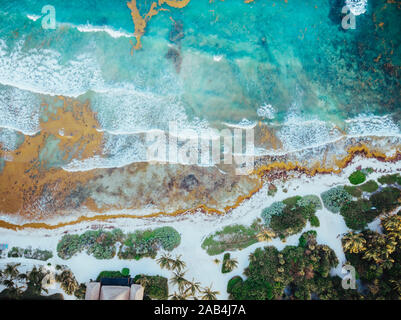 Aerial Picture of the Akumal Bay in Quintana Roo, Mexico during Sunset Stock Photo