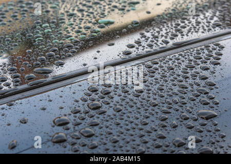Pooled raindrops on shiny black car rooftop surface with sunroof - after a rain shower, and reflecting blue sky above and nearby buildings. Stock Photo