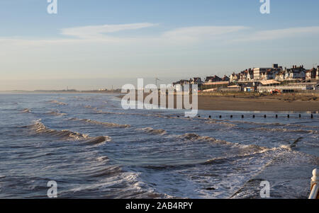 Sunny in Brid Stock Photo