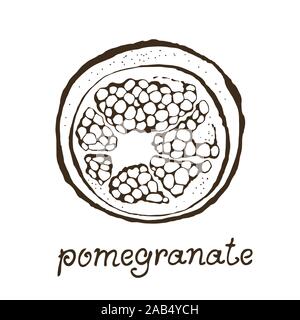 Pomegranate vector illustration isolated on white background Stock Vector
