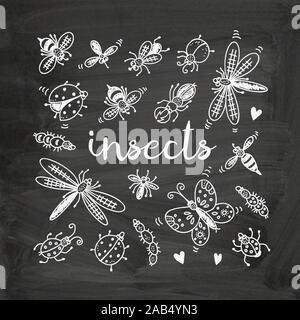 Insects doodle set, vector collection on chalkboard background Stock Vector