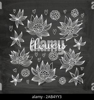 Flowers vector set, floral doodles collection on chalkboard background Stock Vector