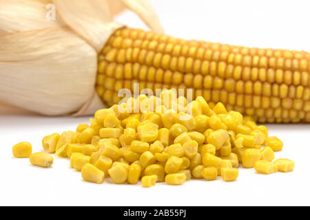 Corncobs and ripe corn grains in front of white background Stock Photo