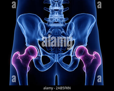 3d rendered medically accurate illustration of the hip joints Stock Photo