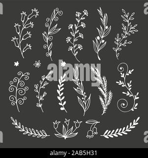 Floral doodle set in sketch style, vector hand drawn botanical ...