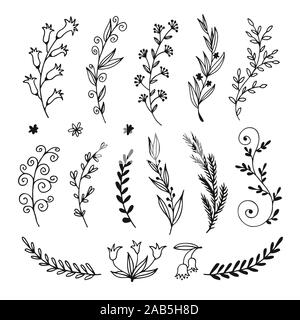 Floral doodle set in sketch style, vector hand drawn botanical illustration for decorative design Stock Vector