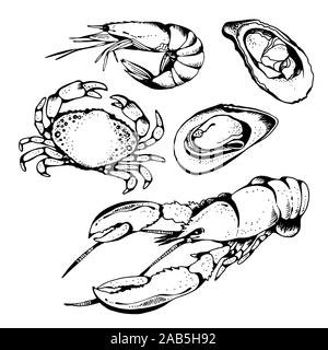 Seafood vector set, food vector collection in sketch style isolated on white background: lobster, crab, shrimp, oyster, mussel Stock Vector