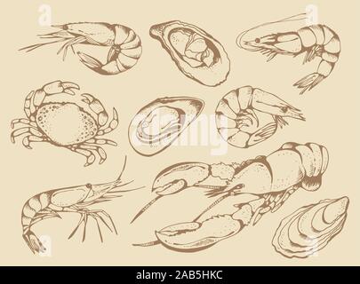 Seafood vector set, food vector collection in sketch style isolated on beige background: lobster, crab, shrimps, oysters, mussels Stock Vector