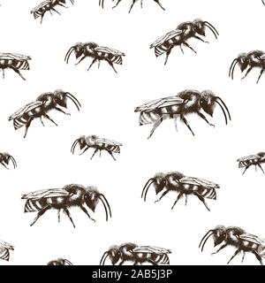 Honey bee color vector seamless pattern in engraving style isolated on white background Stock Vector