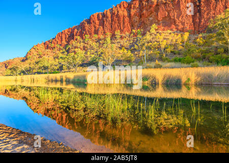Glen Helen Gorge at West MacDonnell Ranges, Northern Territory in Central Australian Outback along Red Centre Way. Scenic red sandstone wall and bush Stock Photo