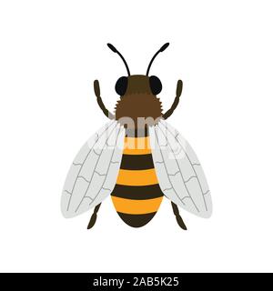 Bee top view. Vector illustration isolated on white background. Stock Vector