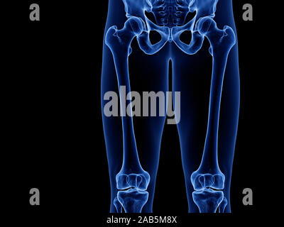 3d rendered medically accurate illustration of the upper leg bones Stock Photo