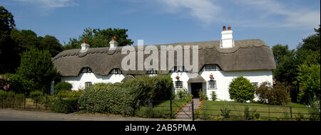 A row of thatched cottages at Swan Green, Lyndhurst, Hampshire, England, UK Stock Photo