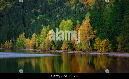 Fall foliage reflected on a lake with a glass like mirror water surface - Banner Stock Photo