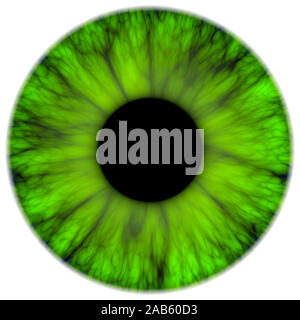 An illustration of a nice green iris texture Stock Photo