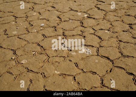 Dried cracked patterns in the mud earth Stock Photo