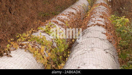 Thick pipes of water in the city coming from the river Stock Photo