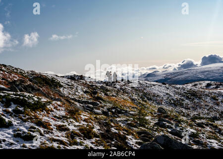 Two hikers standing on the snowy tundra during a beautiful sunny day in the Kungsleden, Lapland, Sweden Stock Photo