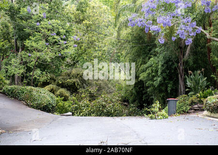 Killara, New South Wales, Australia. 26th November, 2019. Storm damage seen in Killara, NSW, Australia. Several homes damaged along with big trees and power lines down. Credit: mjmediabox/Alamy Live News Stock Photo