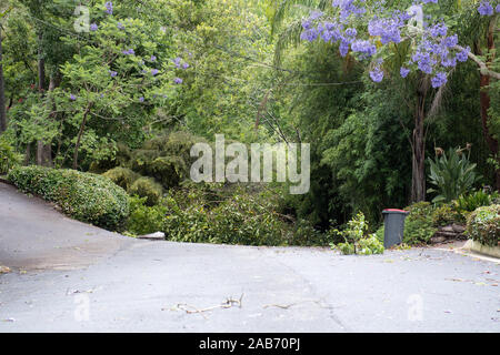 Killara, New South Wales, Australia. 26th November, 2019. Storm damage seen in Killara, NSW, Australia. Several homes damaged along with big trees and power lines down. Credit: mjmediabox/Alamy Live News Stock Photo