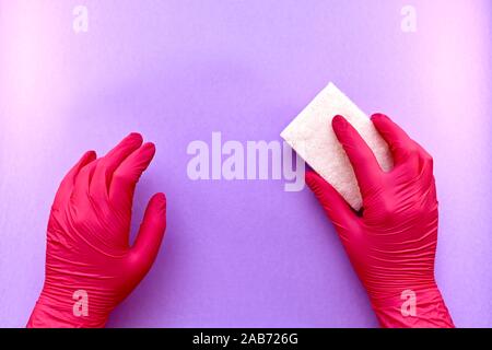 Two hands in rubber gloves, one washing sponge, abrasive side up, with a free purple background. Stock Photo