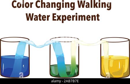 Rainbow walking water experiment in classroom. Concept of science. Glasses in row with colored water and wet paper between. Stock Vector